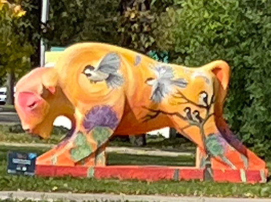 Winnipeg Trolley Company-温尼伯必去景点