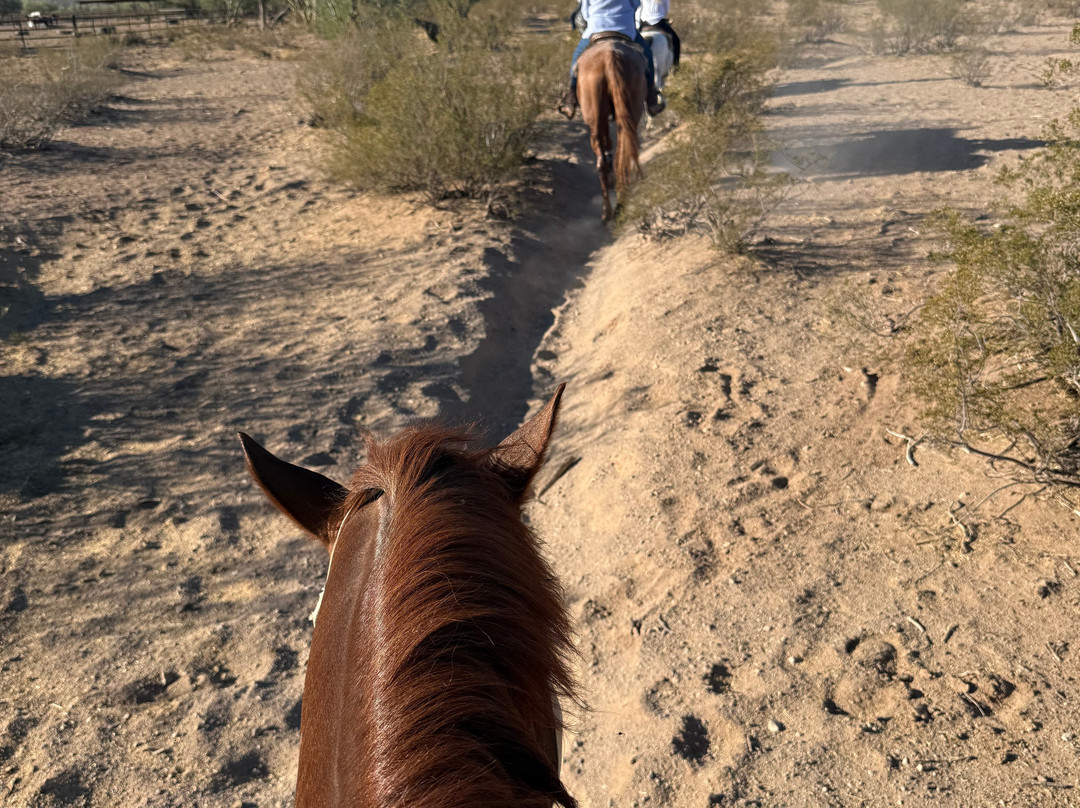 White Stallion Ranch-图森必去景点