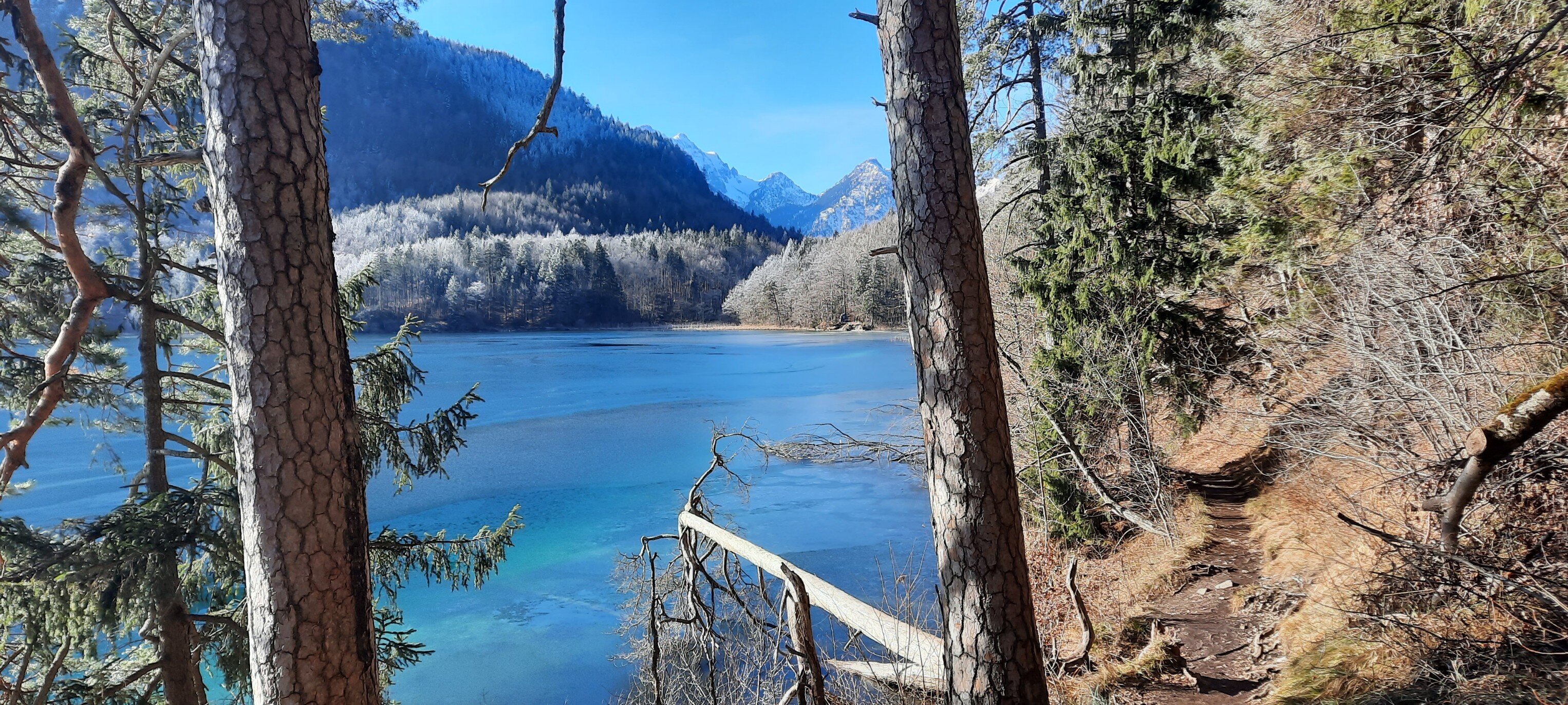 Biohotel Eggensberger-官方