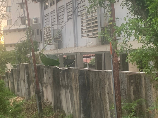 Labuan Bajo-科莫多必去景点