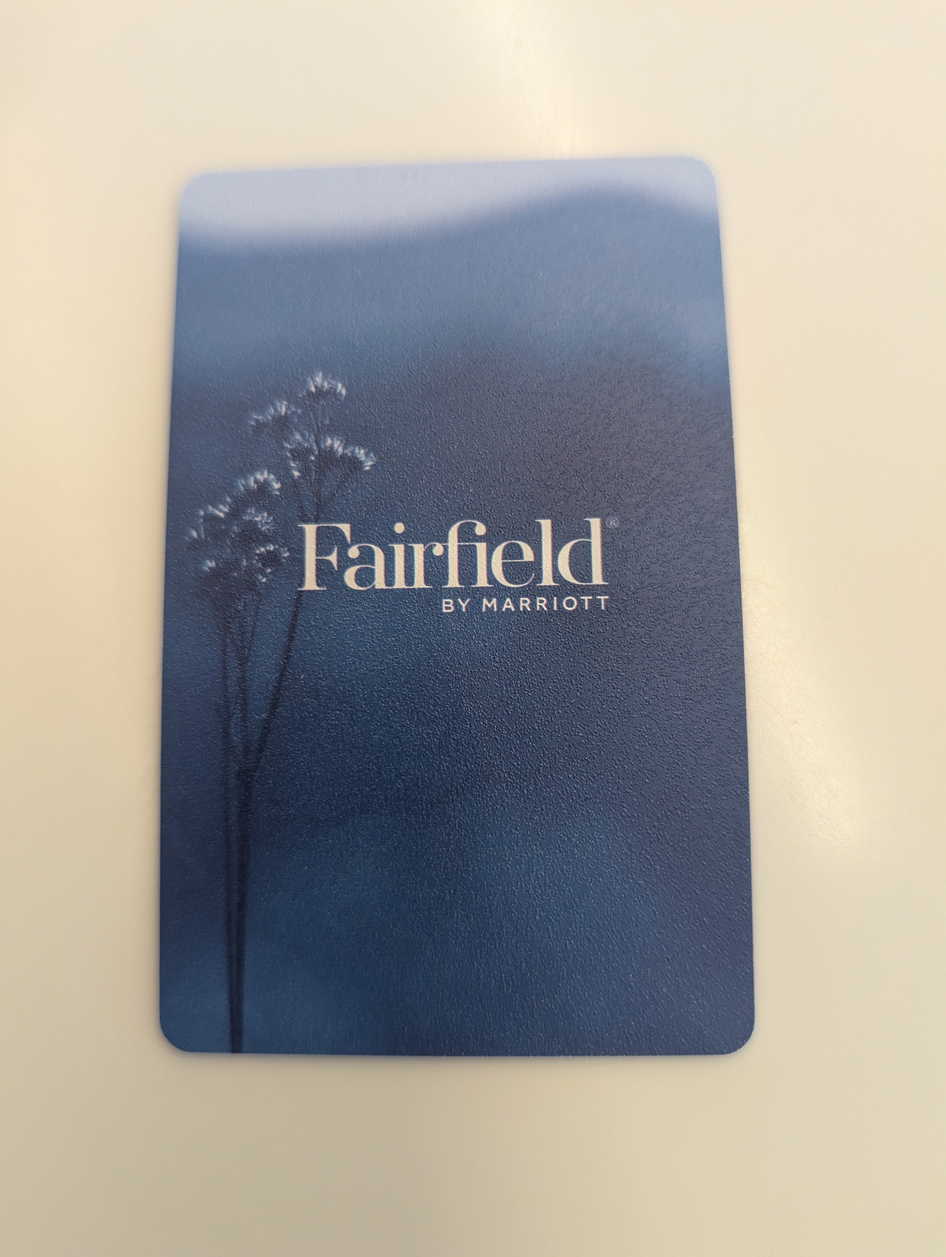 旧金山机场/米尔布雷费尔菲尔德酒店-浴室