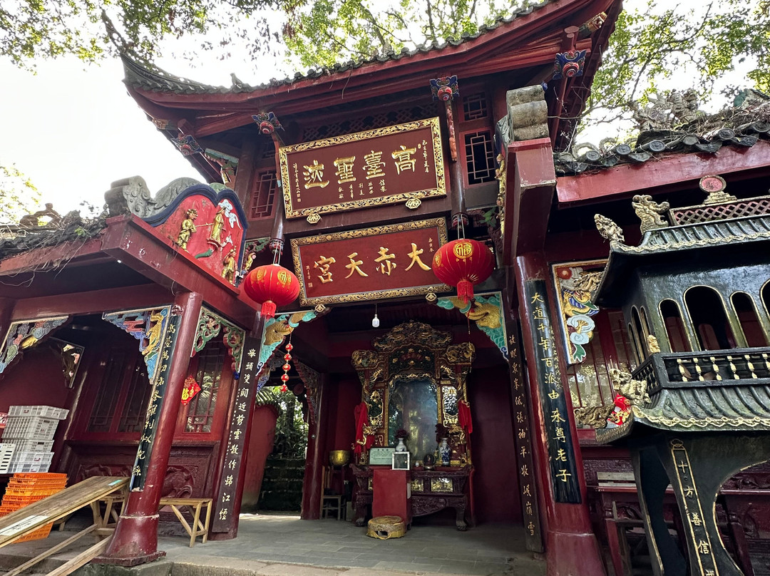 My Panda Tours-成都必去景点