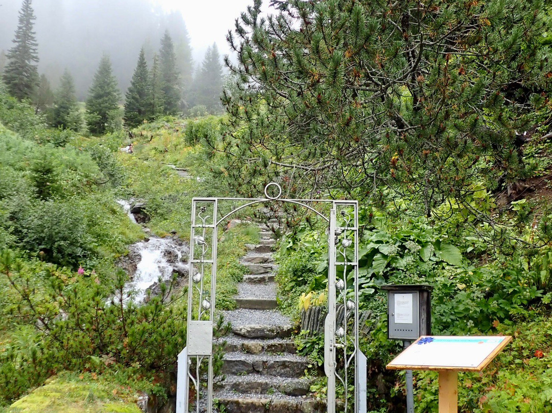 Botanical Garden Alpinum Schatzalp-Davos Platz必去景点