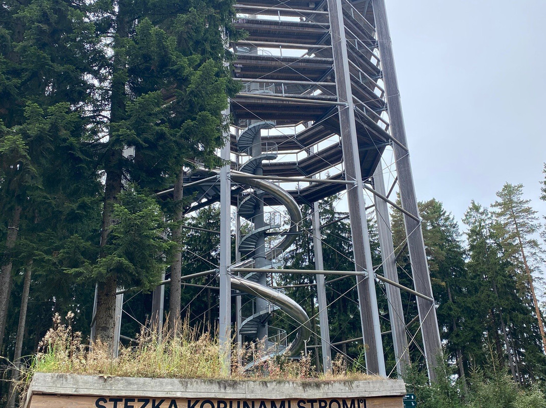 Treetop Walkway-利诺纳佛塔沃必去景点