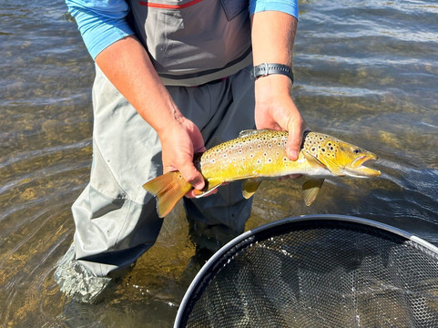 Wasatch Adventure Guides-帕克城必去景点