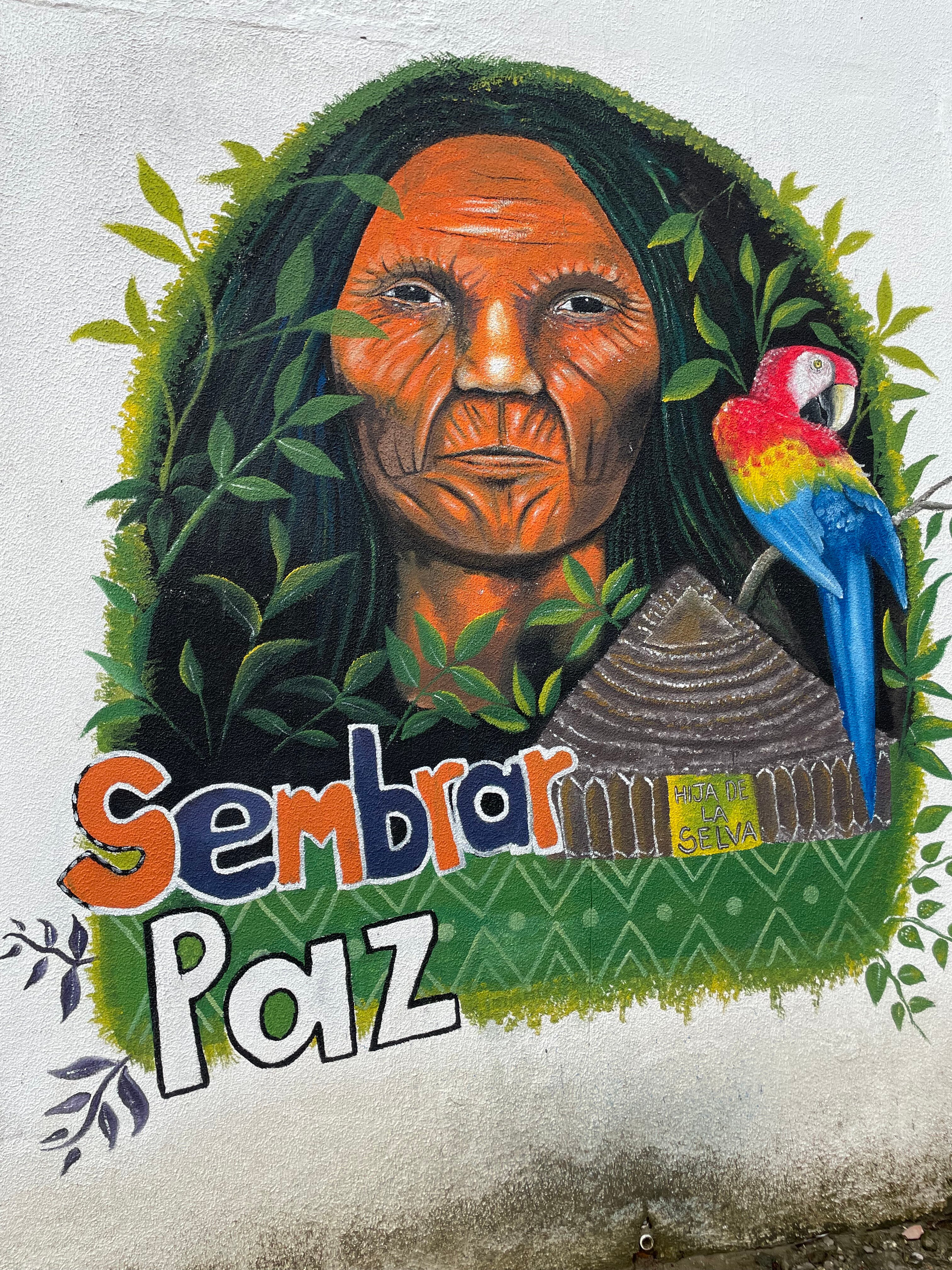 Kurupira Cabin Floating-官方