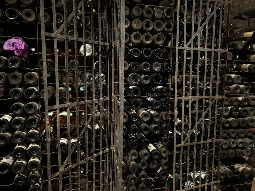 Sun Tour-卡尔卡松必去景点