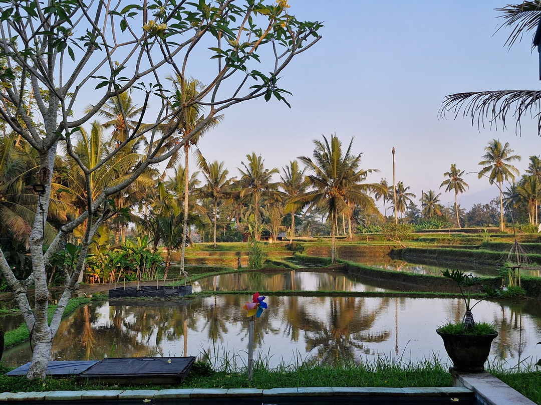 Hati Padi Cottages主图