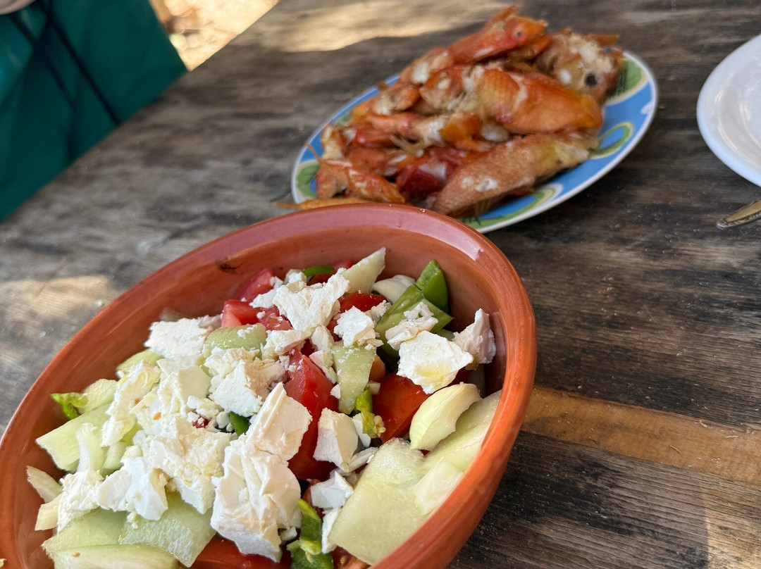 Fish & Fun With Nikos-Stegna必去景点