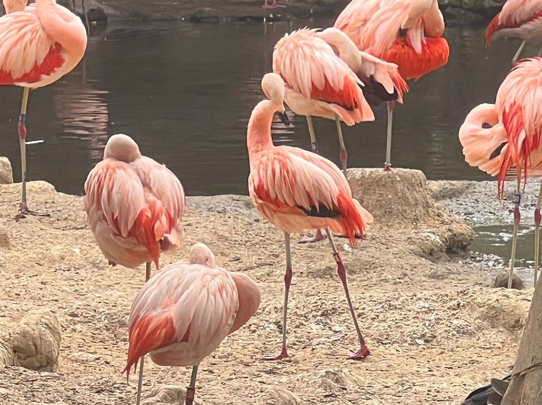 Zoo Leipzig-莱比锡必去景点