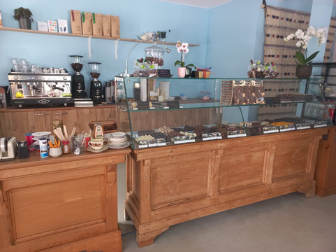 Chocolaterie de cacaoboom