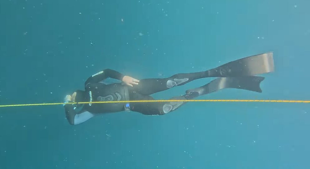 Salty Pilgrims Freediving-史蒂芬斯港必去景点