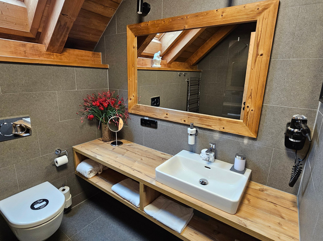 Knizeci Cesta - Aparthotel & Wellness Lipno主图
