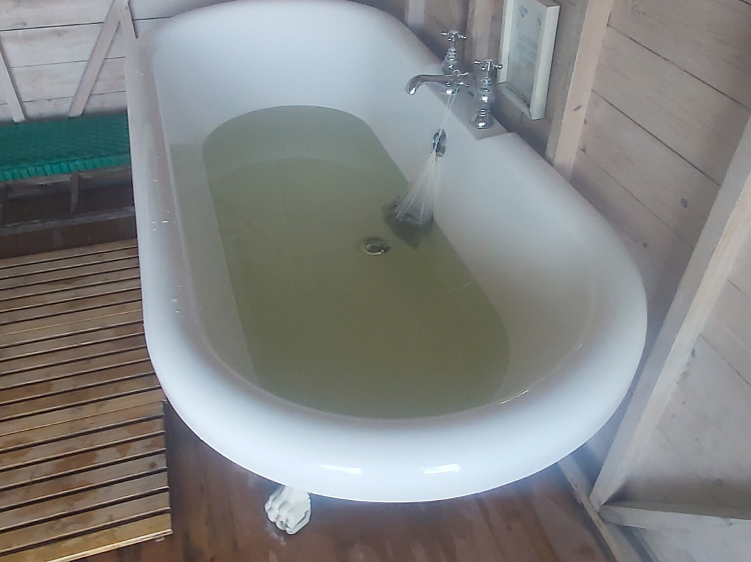 Sae Seaweed-Studland必去景点