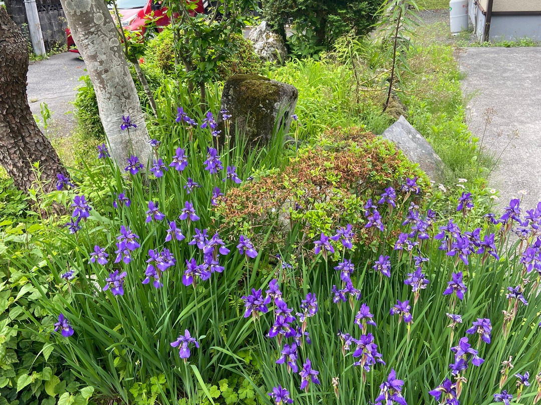 Nikko Tamozawa Imperial Villa Memorial Park-日光市必去景点