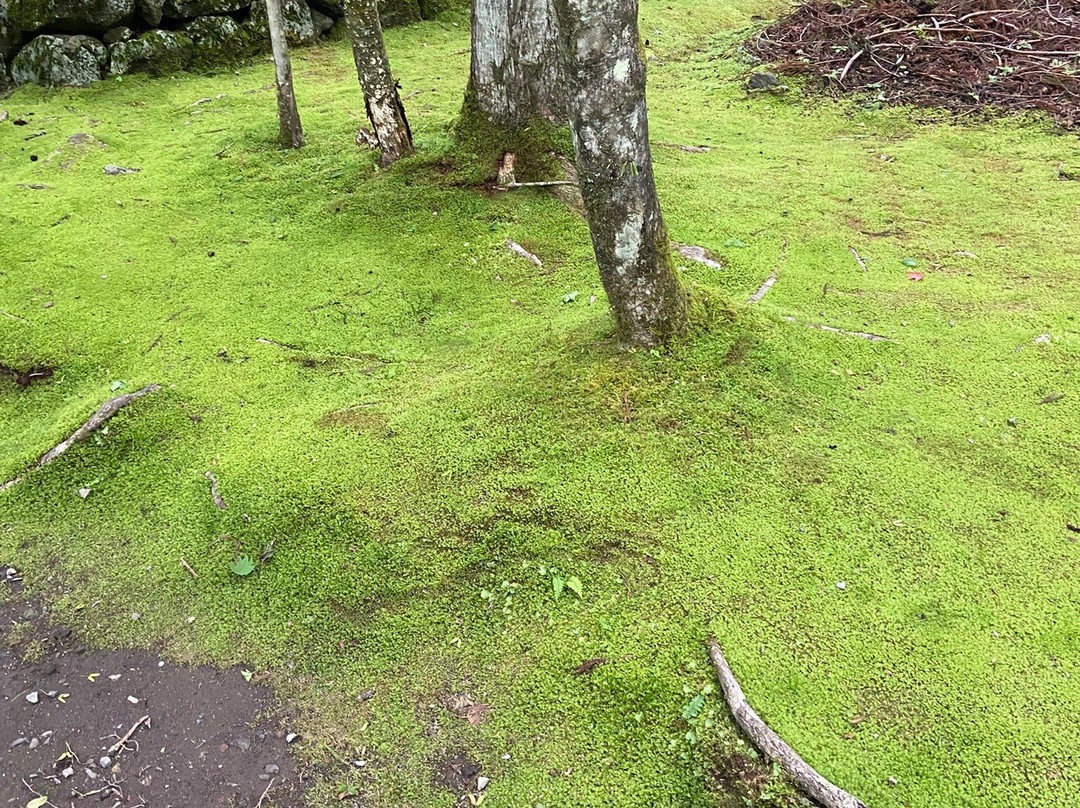 Narabi Jizo-日光市必去景点