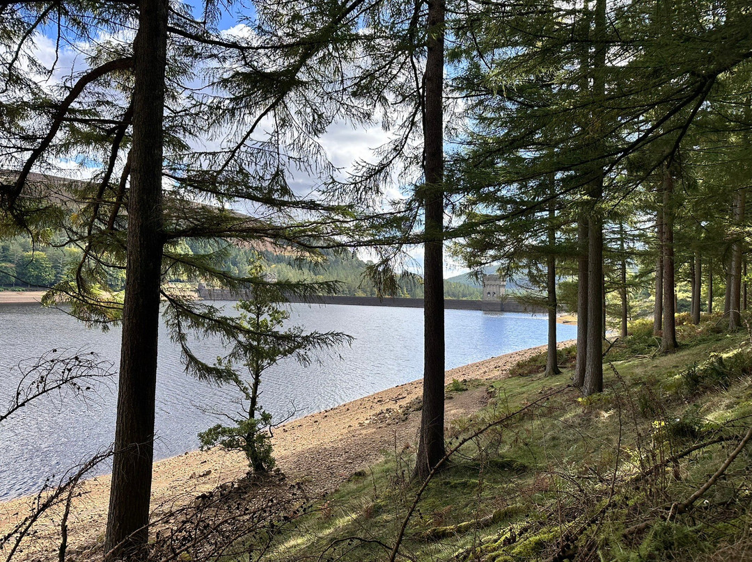 Bike Garage-Bamford必去景点