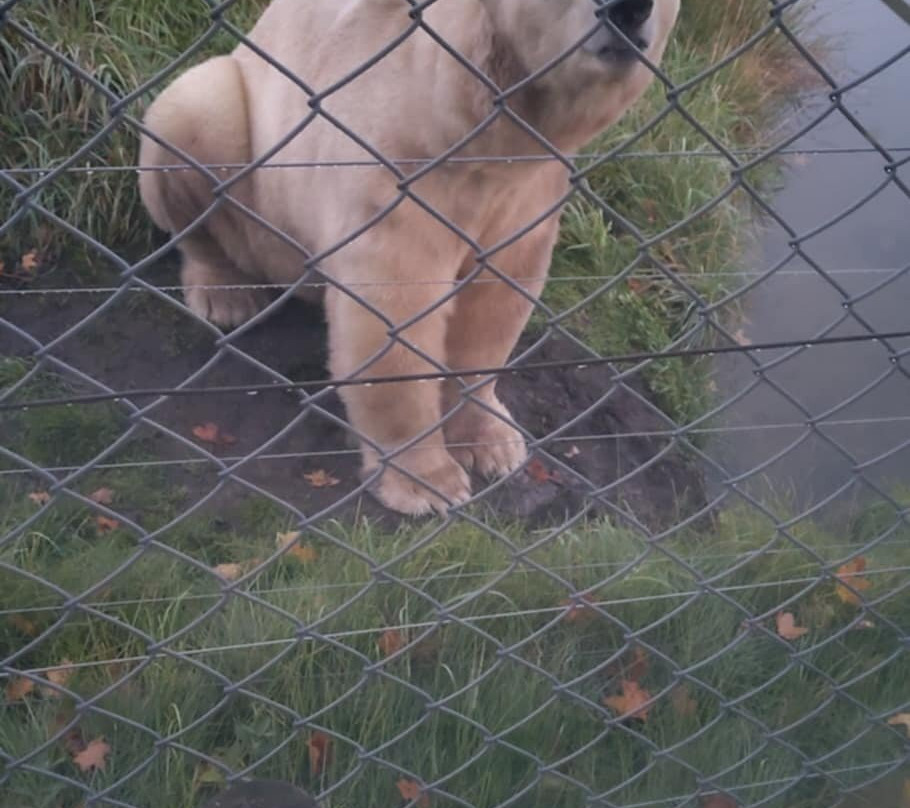 Scandinavian Wildlife Park-Kolind必去景点