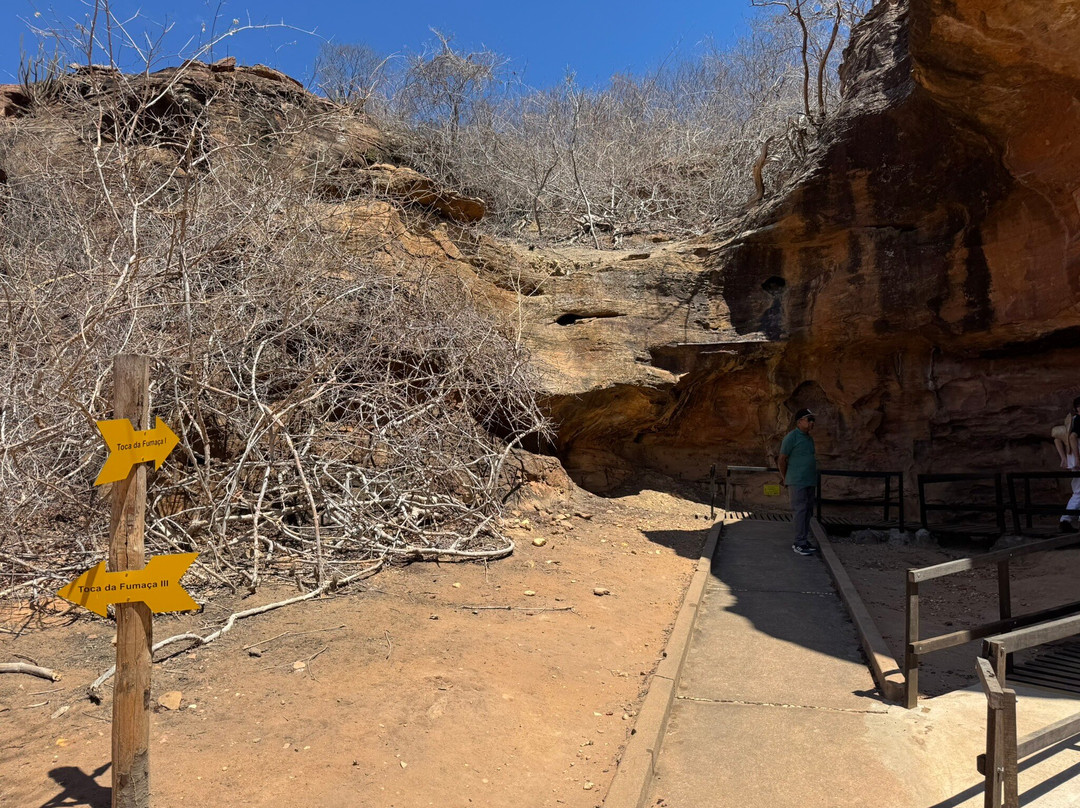 Receptivo Selva Branca