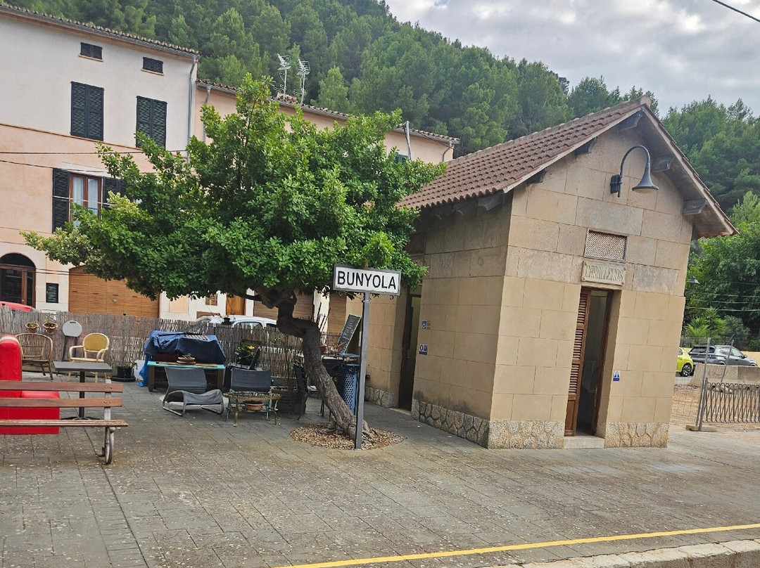Tren de Sóller-索耶尔必去景点