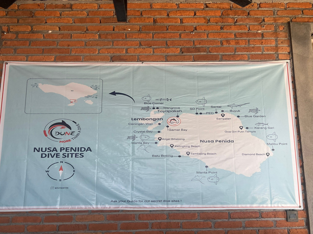 Dune Penida Dive Center-珀尼达岛必去景点