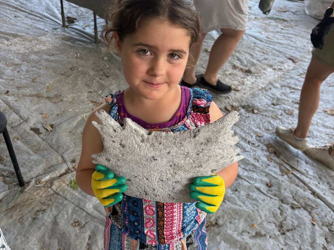 Eco Barge Clean Seas-Jubilee Pocket必去景点