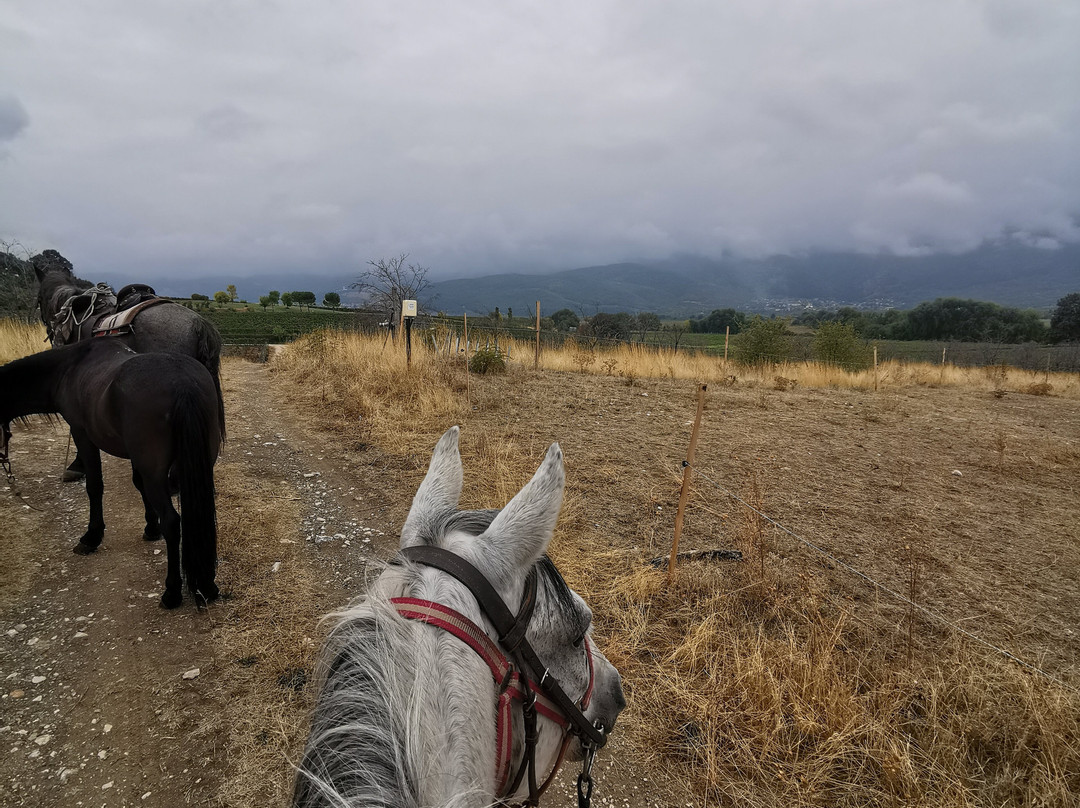 Horseriding Bulgaria - Day Tours-索非亚必去景点