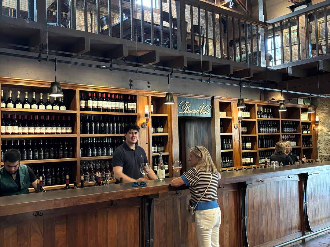 Buena Vista Winery-索诺玛必去景点
