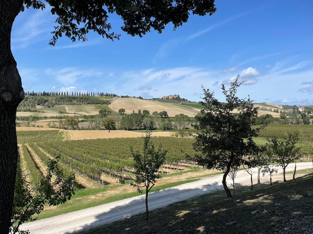 Azienda Agricola Santa Giulia-Torrenieri必去景点