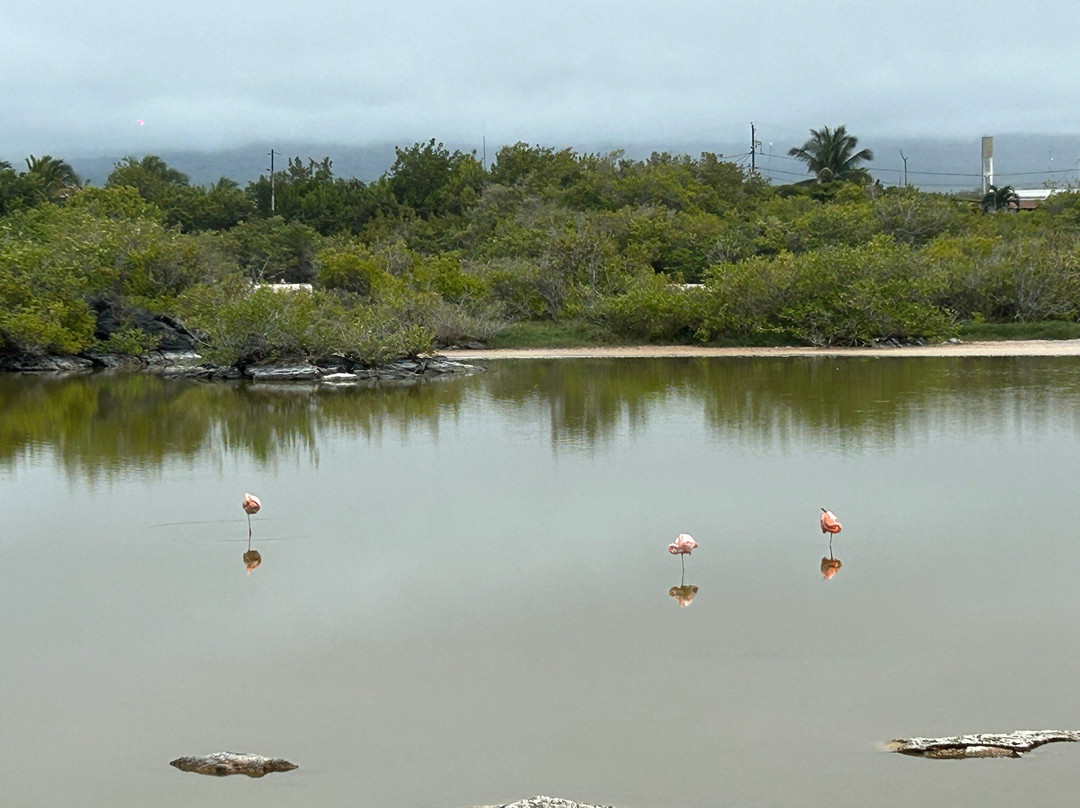 Laguna Salinas-维里亚米尔港必去景点