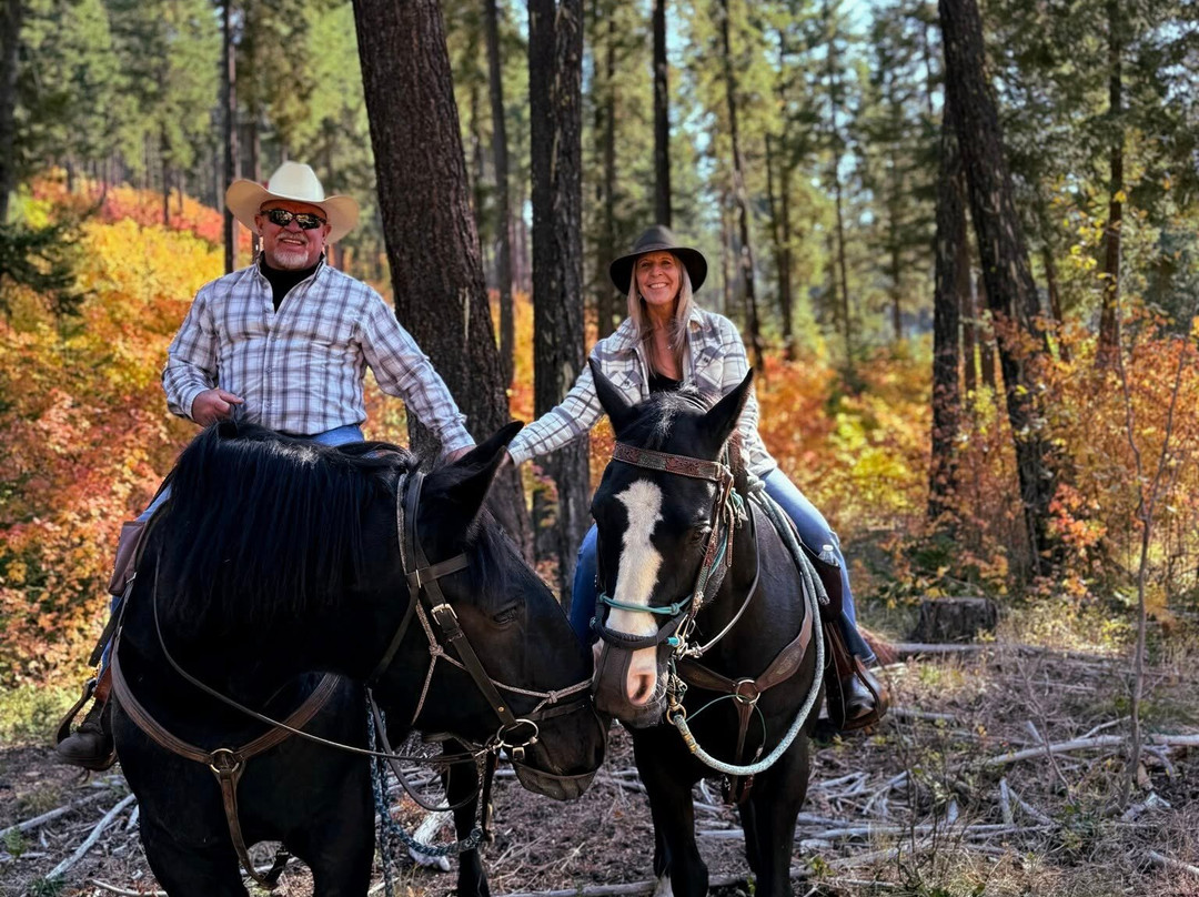 Wild At Heart Horse Rides-莱文沃思必去景点