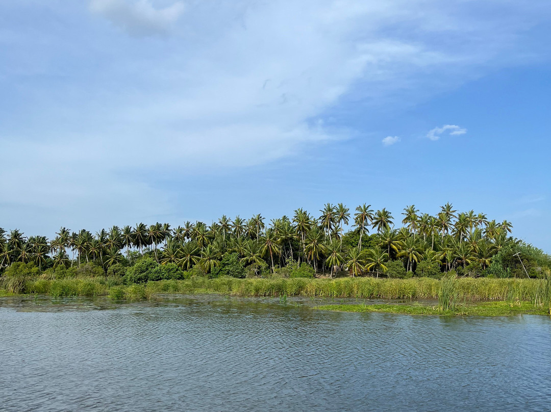Kalametiya Bird Watching & Ecotourism-Kalametiya必去景点