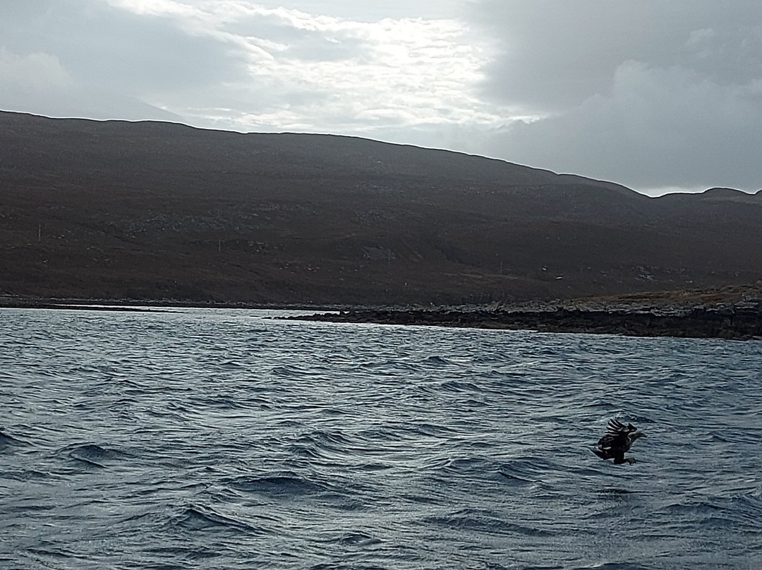 Stardust Boat Trips Portree-Portree必去景点