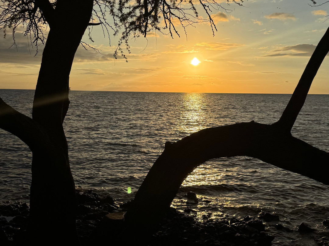 斯宾塞海滨公园-卡慕也拉必去景点