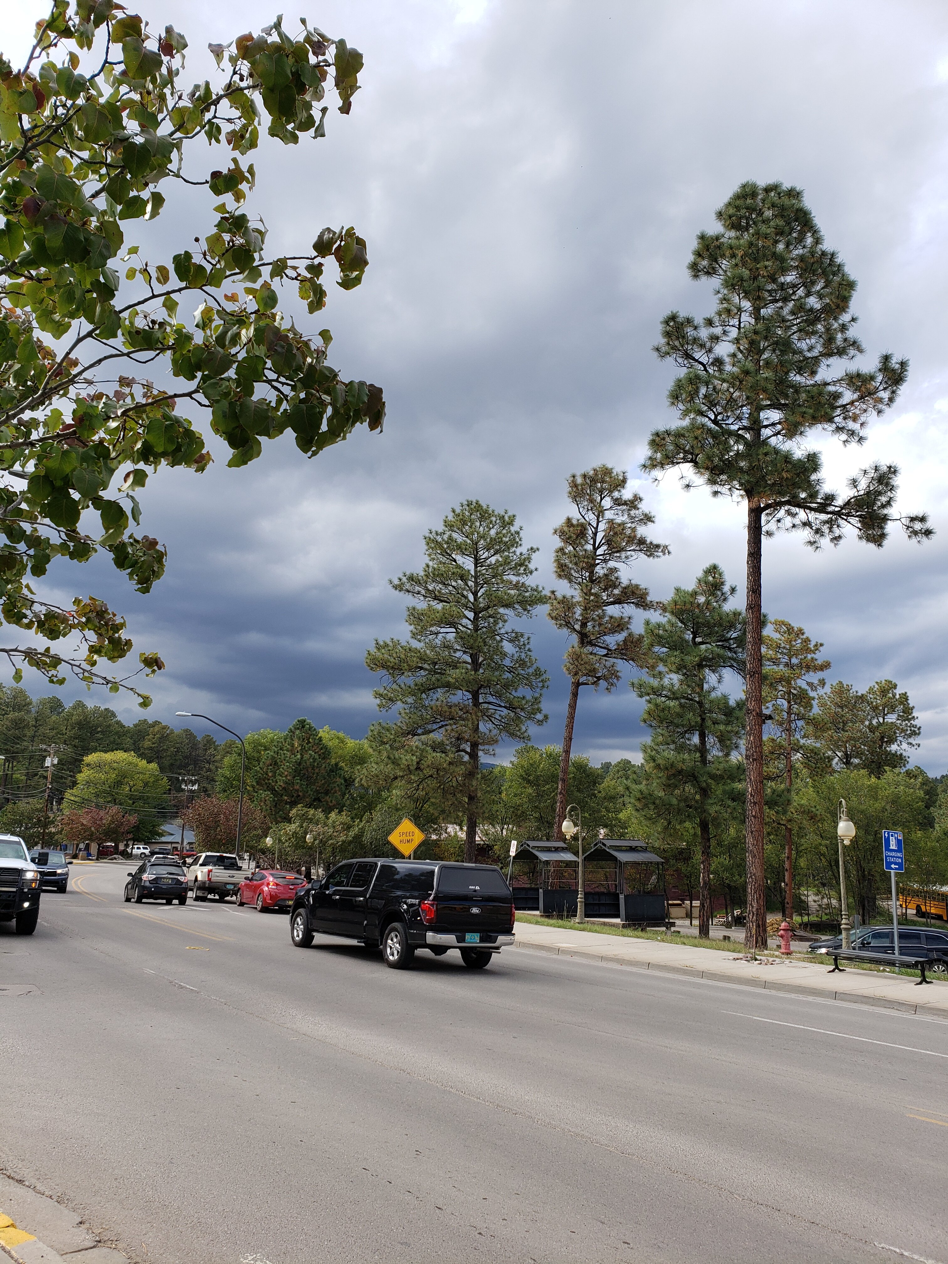 Hotel Ruidoso-浴室