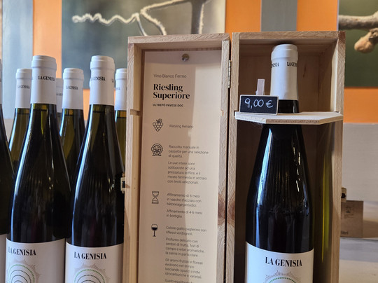 Torrevilla Botteghe del Vino-Torrazza Coste必去景点