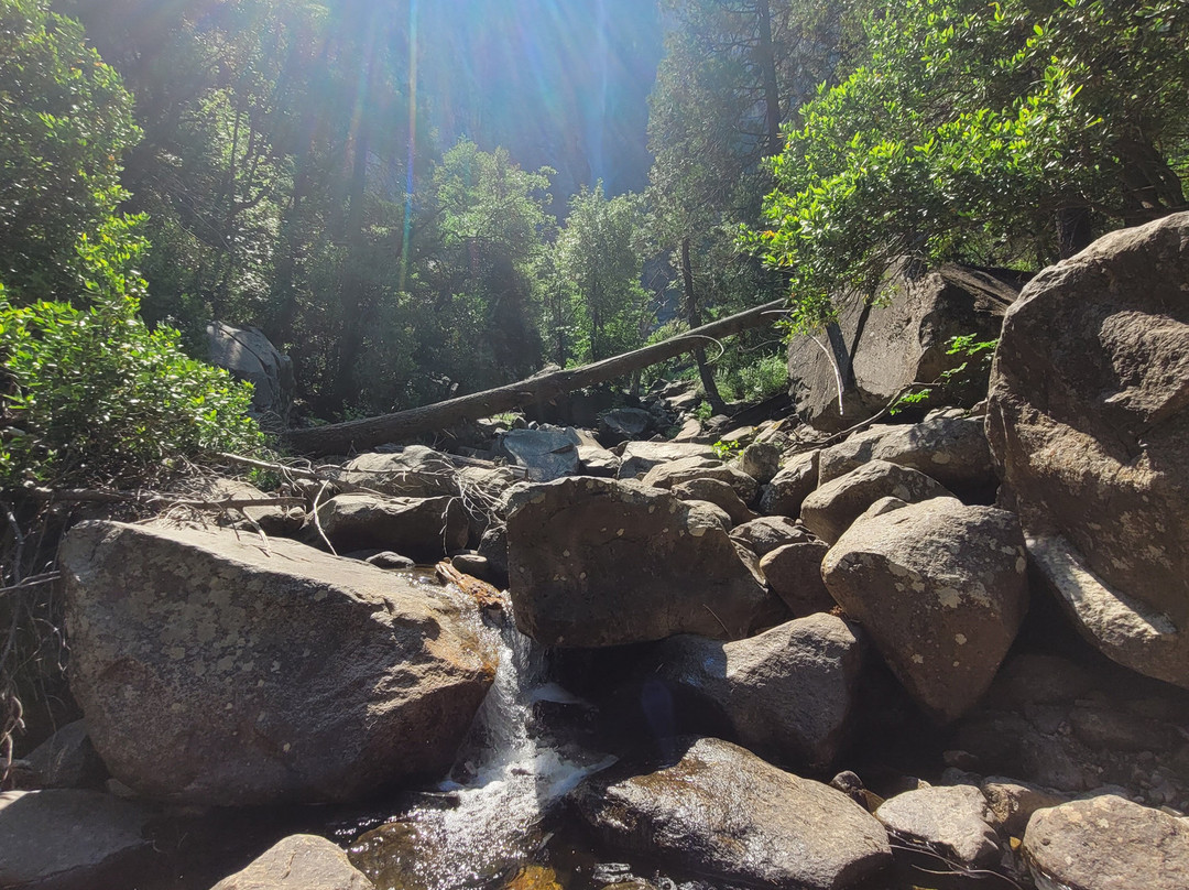 Yosemite 360 Tours-菲什营必去景点