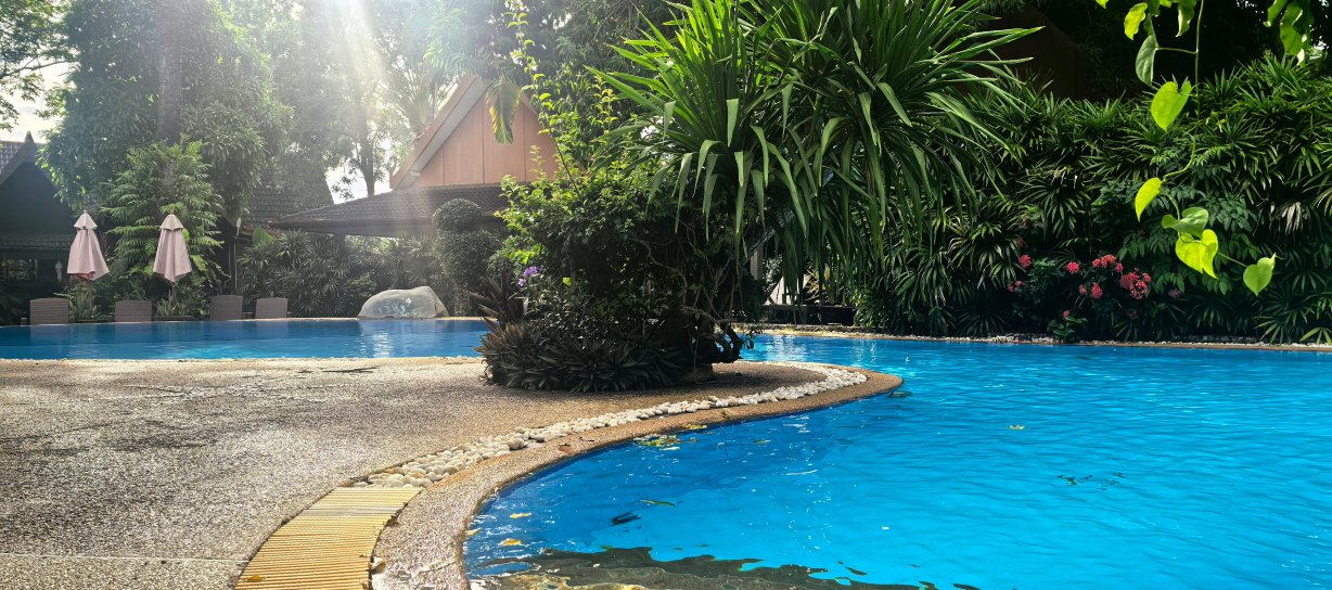 棕榈花园度假村酒店-泳池