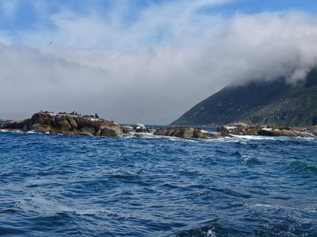 Nauticat Charters-木湾必去景点