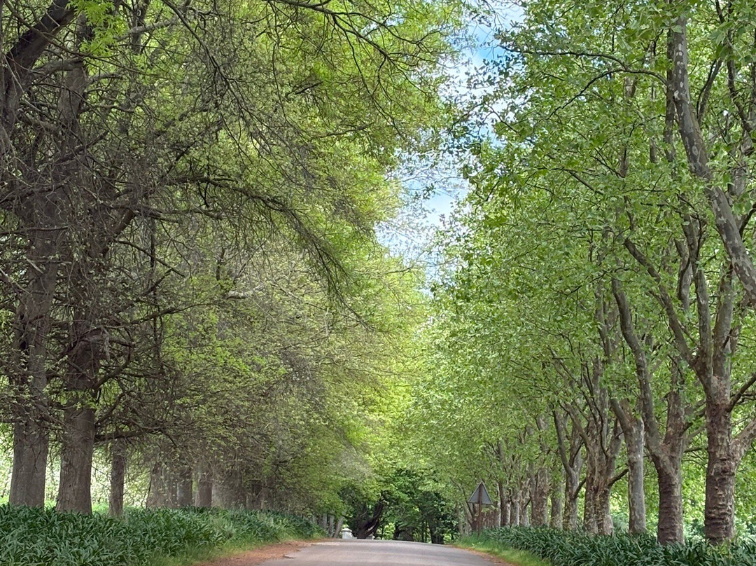 Oak Valley Estate-Elgin必去景点