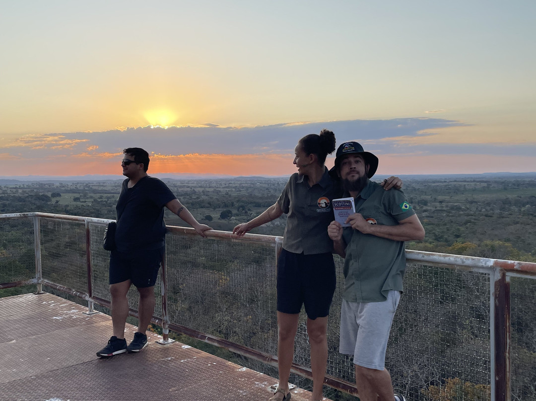 Pantanal Click-米兰达必去景点