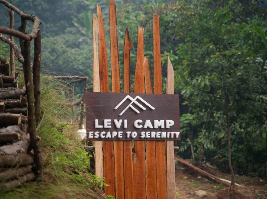 Levi Camp
