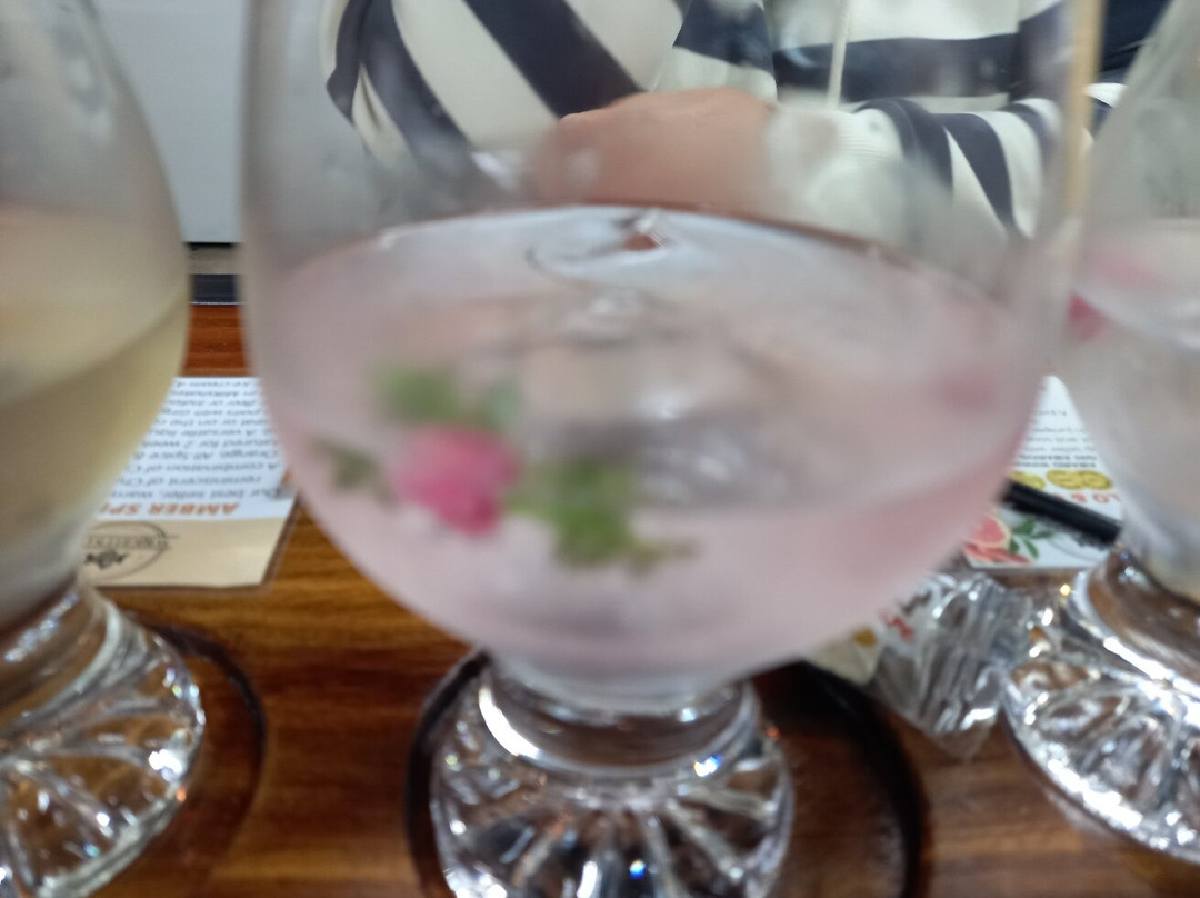 Wright's Gin-Yzerfontein必去景点