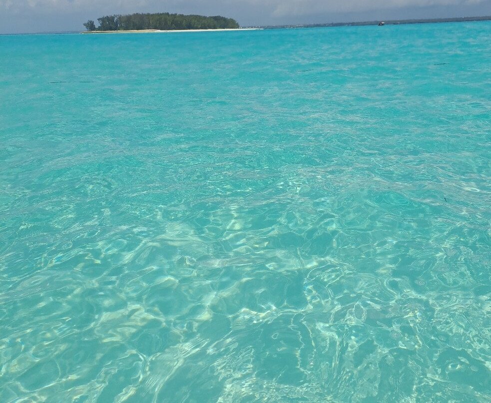 Mnemba Island-姆内巴必去景点