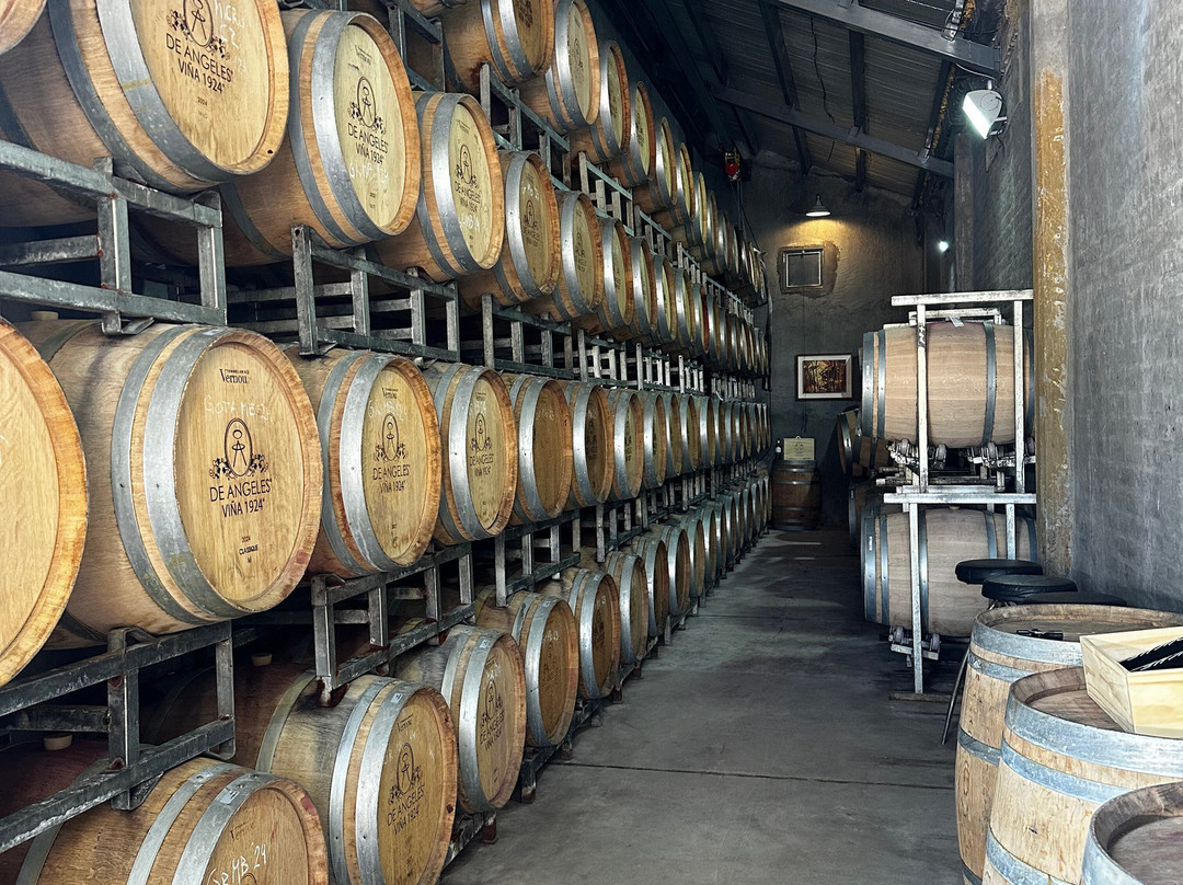Bodega De Angeles Viña 1924-路冉得库约必去景点