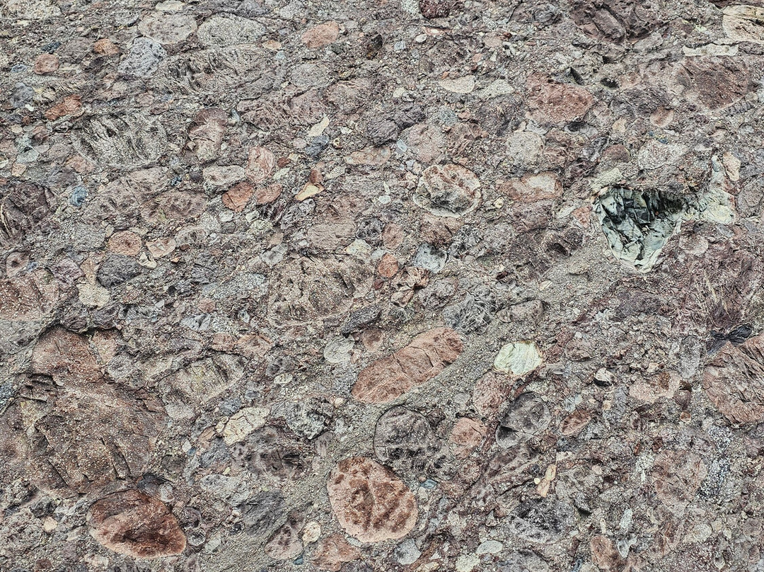 Terra Nova National Park-Glovertown必去景点