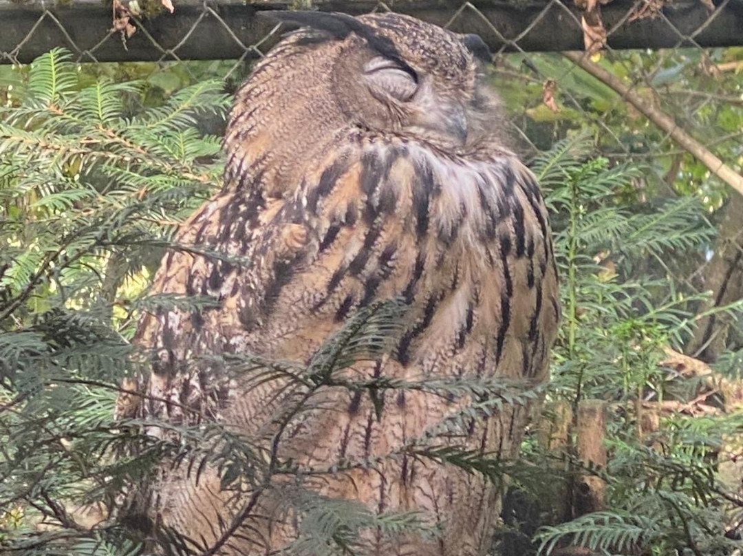 Parc Des Oiseaux-Villars-les-Dombes必去景点