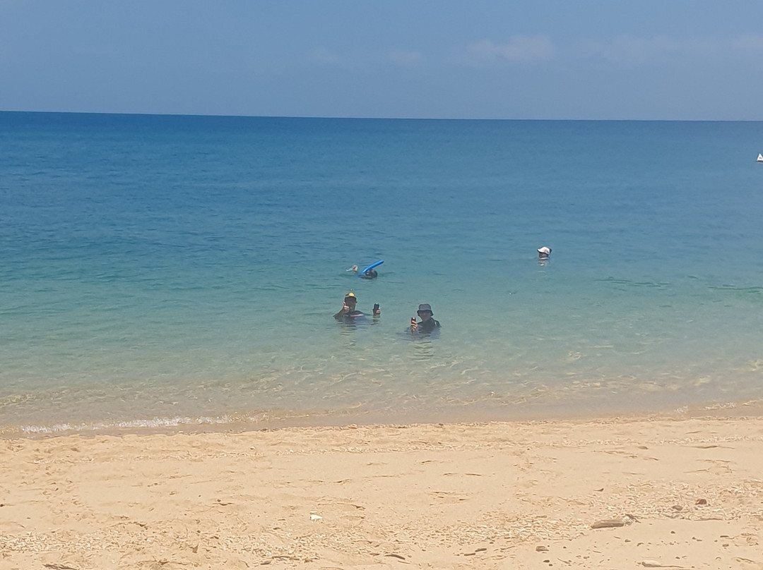 SeaLink Queensland - Magnetic Island Ferry Services-汤斯维尔必去景点