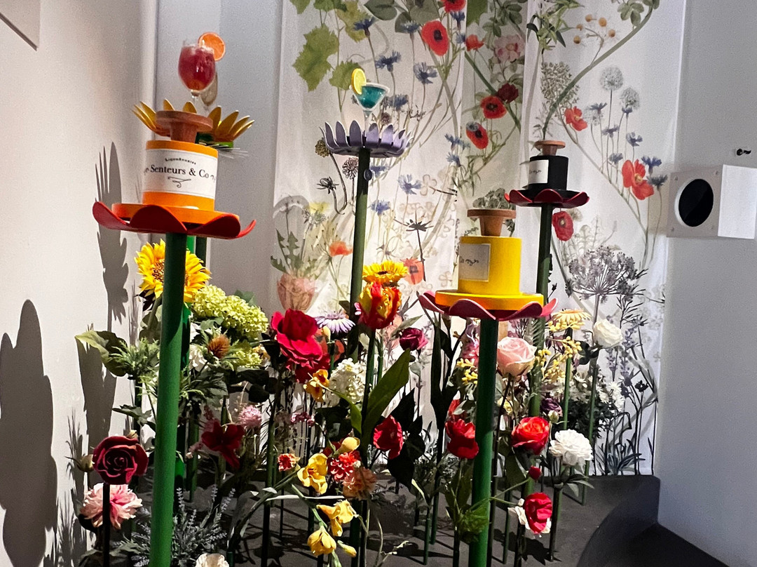 Chateau De Saint-Martin-Taradeau必去景点