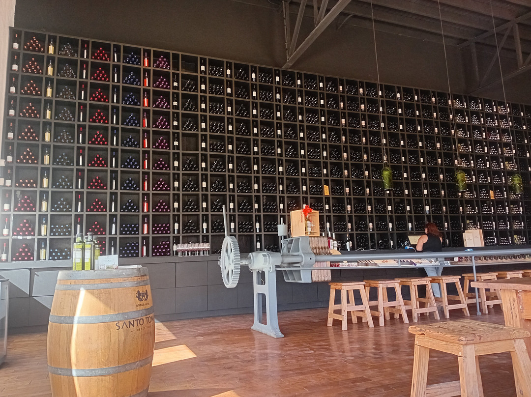 Bodegas De Santo Tomás-恩塞纳达必去景点